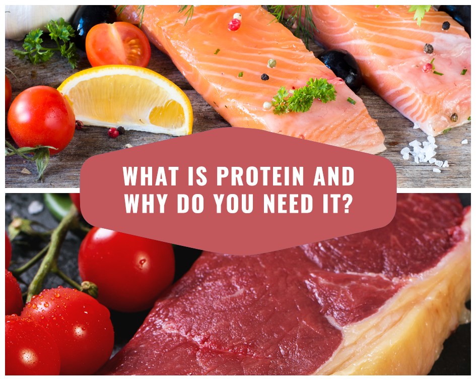What is protein and why do you need it?