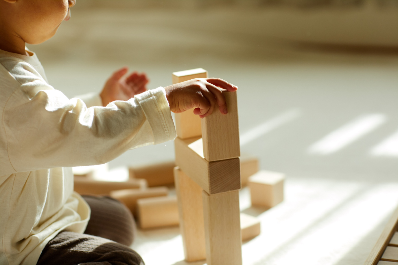 Goki Nature Blocks, Canada, Toronto