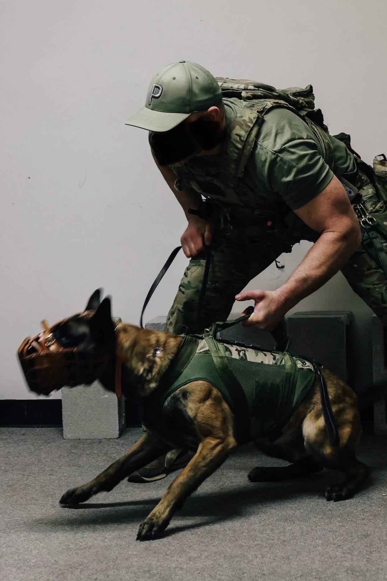k9 rudy