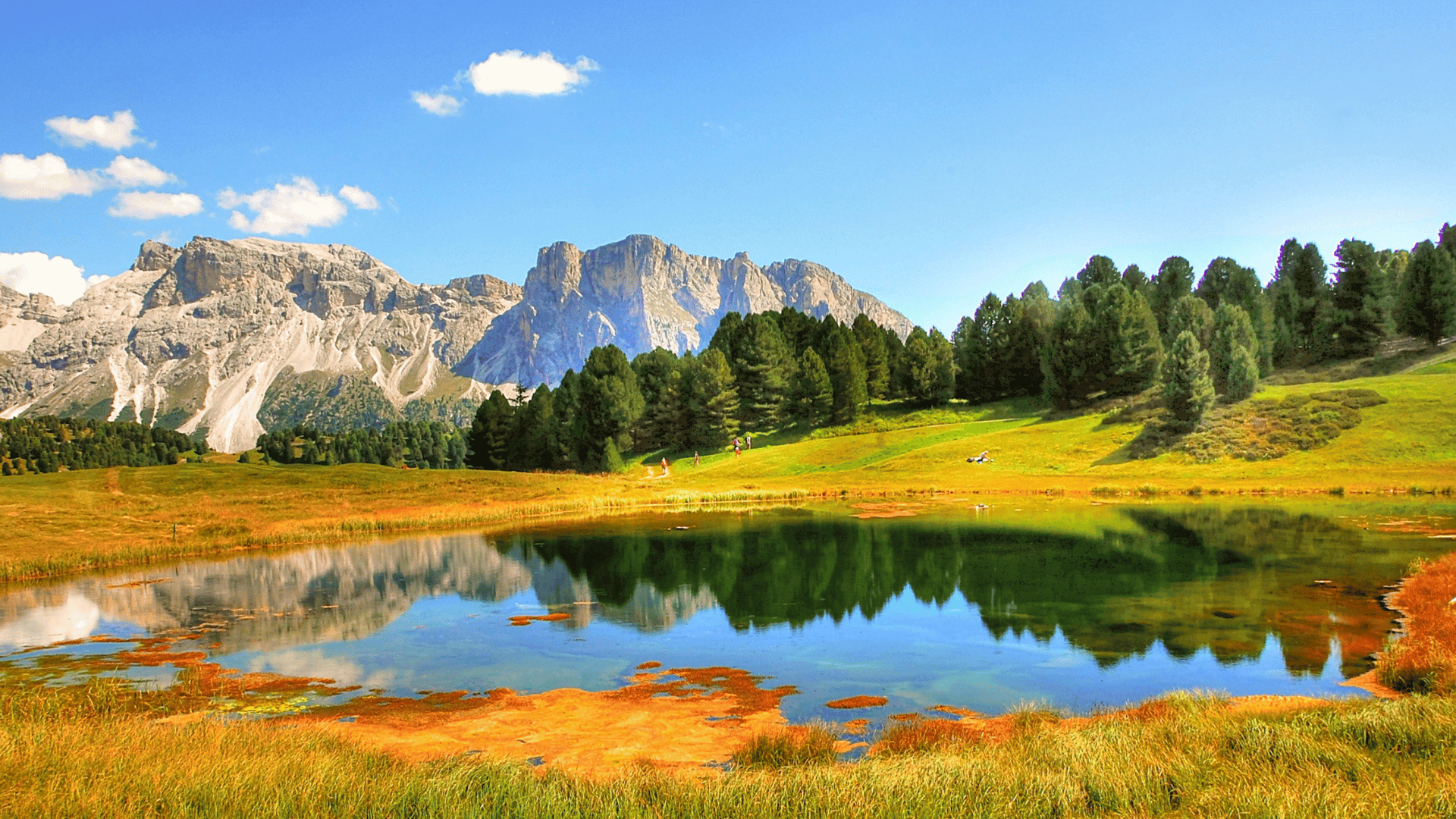 A mountainous landscape view with a pond in the forefront thar reflects the trees just behind it