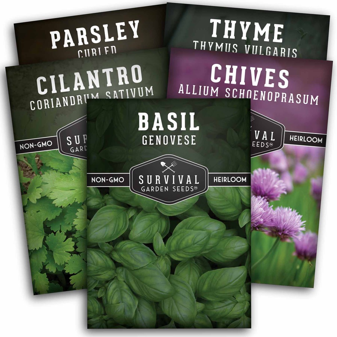 culinary herb seed packets