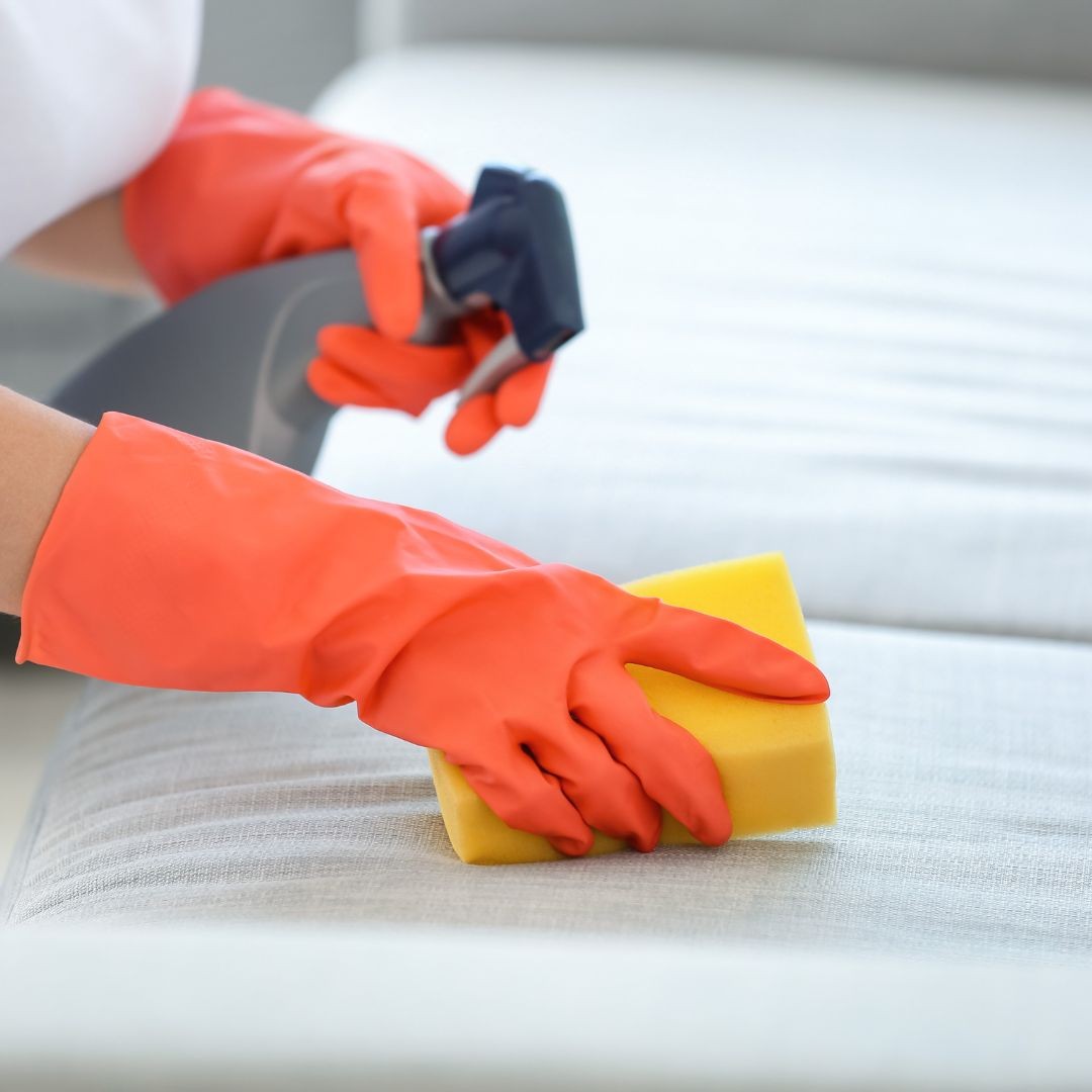Woman scrubbing sofa with sponge