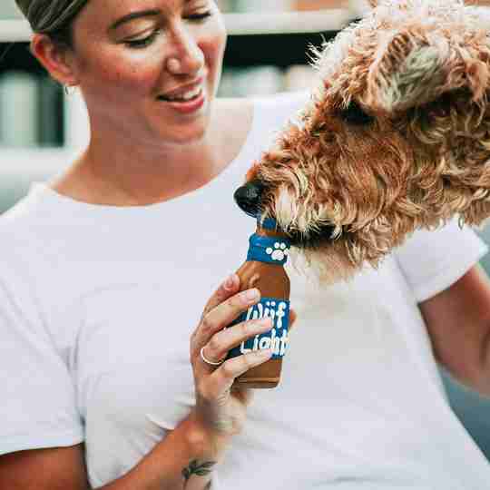 Which Fun Food Is Your Dog Most Like?