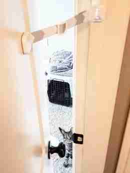 keep door ajar for cat