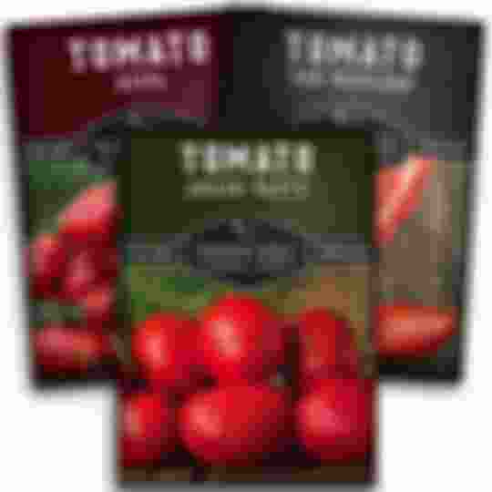 3 Paste Tomato Seed Packets