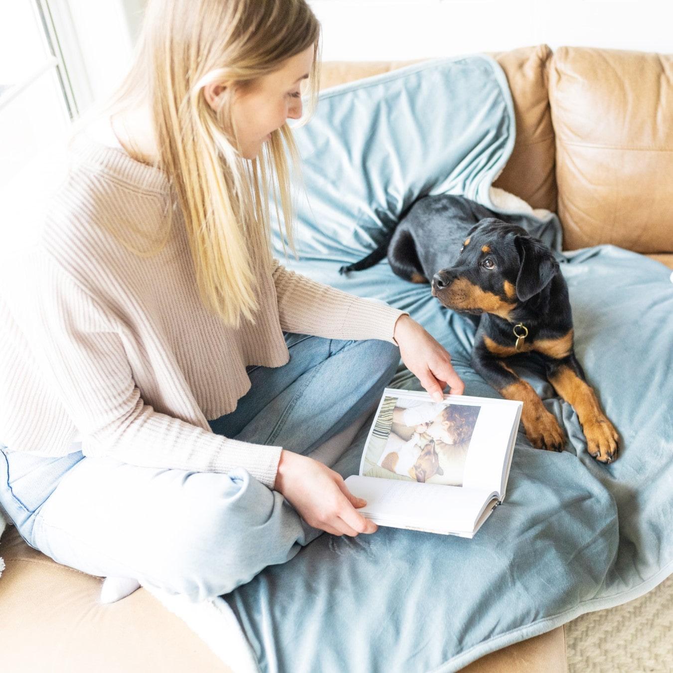 Why does dog pee on my bed and How to Stop It Potty Buddy Potty Buddy™