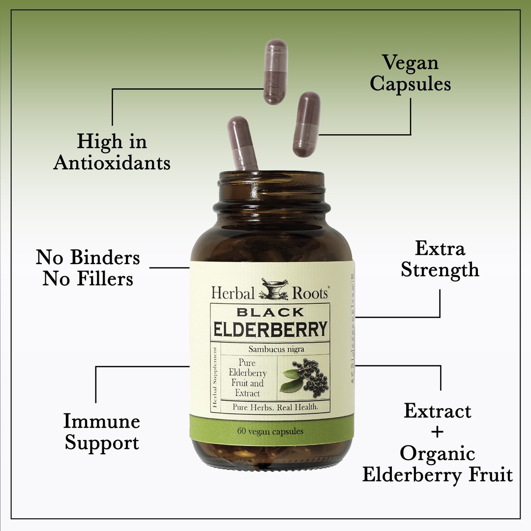 Bottle of Herbal Roots Black Elderberry with three pills spilling out of the top of the bottle. There are several lines pointing to the bottle and the capsules. The lines say High in Antioxidants, Vegan Capsules, Extra Strength, No Binders or fillers, Immune Support and Extract plus Organic elderberry fruit..
