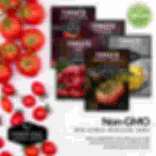 Non-gmo heirloom tomato seeds for planting