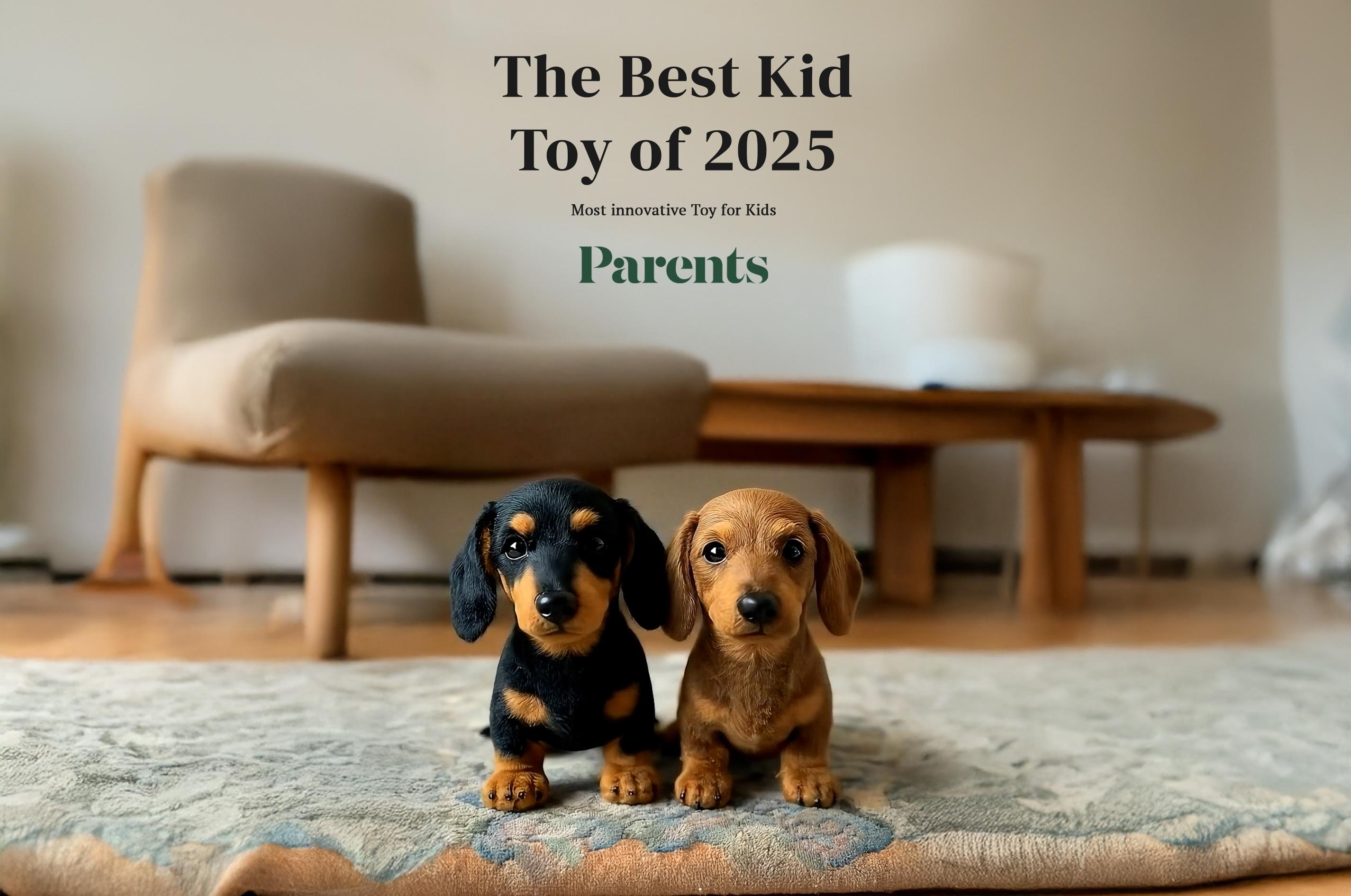 🐶The Dachys– Emotional Healing on Demand