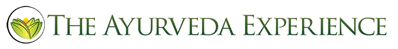 Logo The Ayurveda Experience