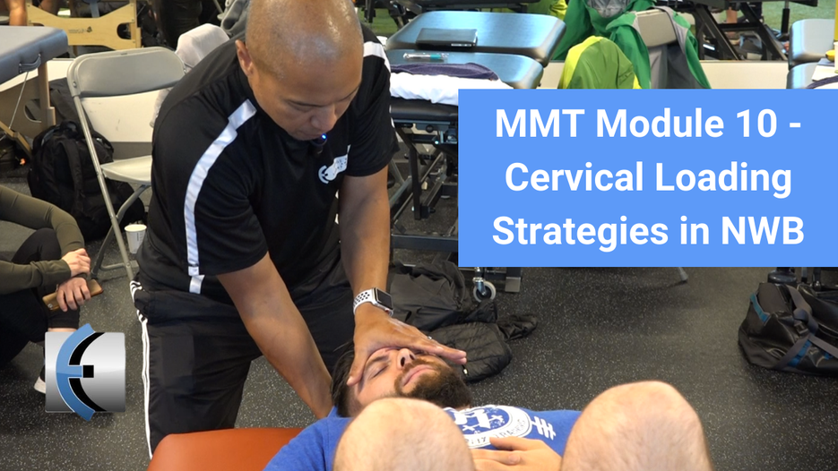 Modern Manual Therapy: The Eclectic Approach to UQ and LQ Assessment a