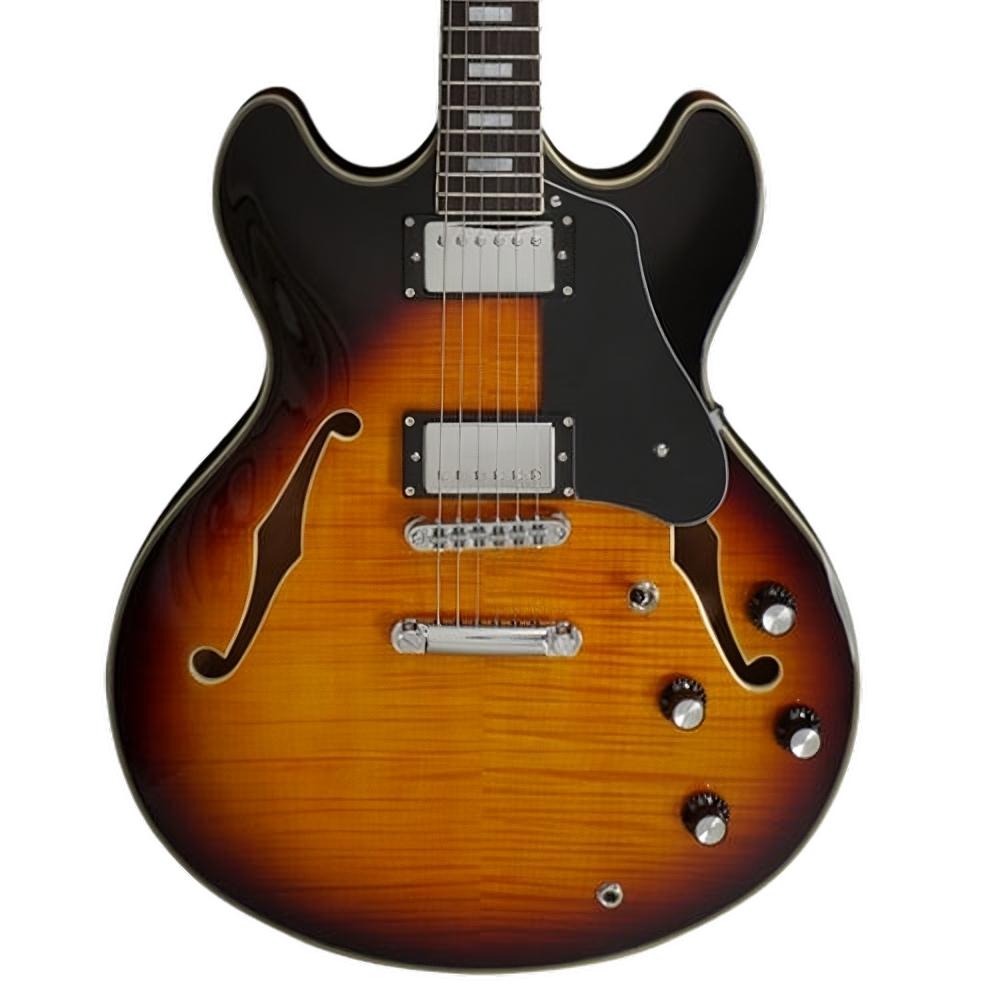 Electric Guitar Buying Guide How to Choose the Perfect One