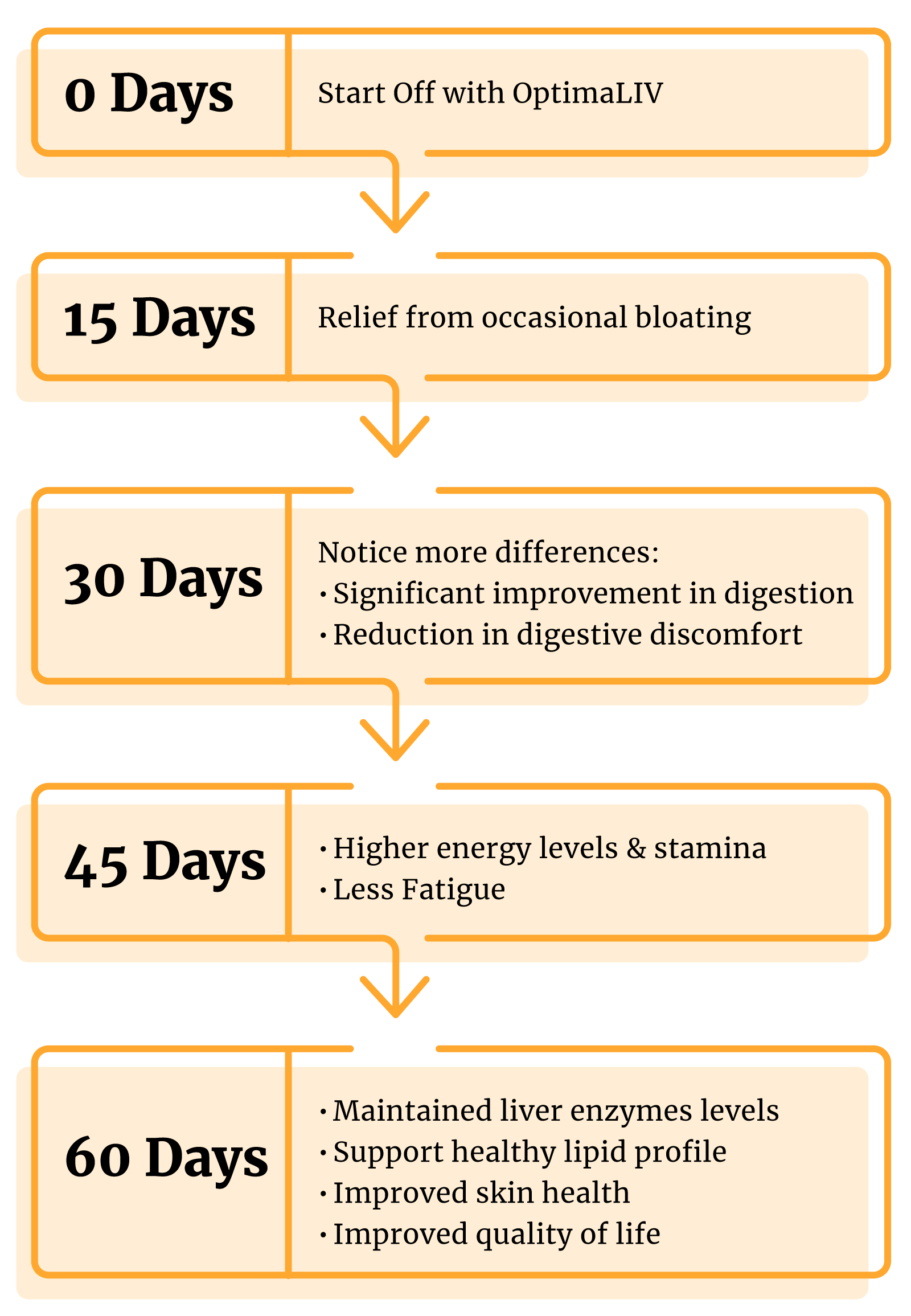 Your journey to liver wellness