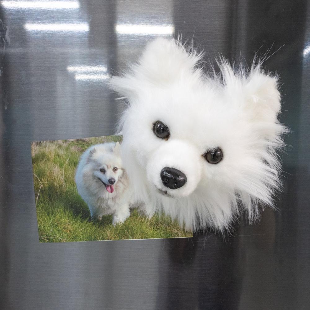 Pomeranian Plush Magnets