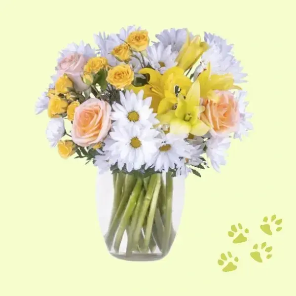 Pet Loss Flowers 