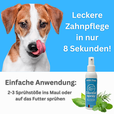 Dentalspray hund