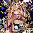 Venetian Belladonna bottle in candlelit dark-floral editorial artwork with whispering witch