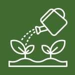 Maintaining Your Garden
