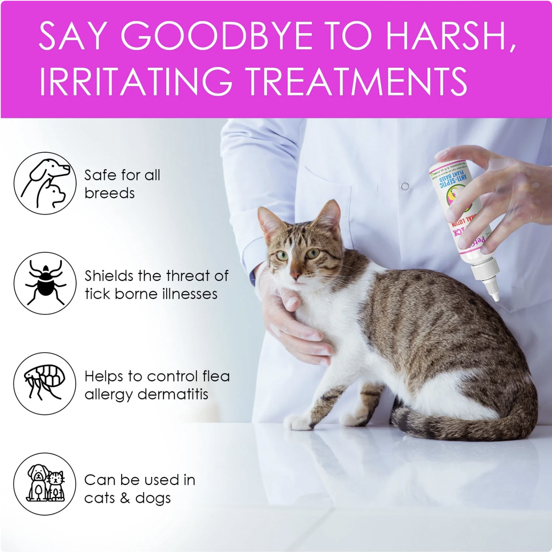 Natural Flea Treatment for Dogs and Cats-Non-toxic | Petglow - Cat Anxiety And Flea Control Methods Natural