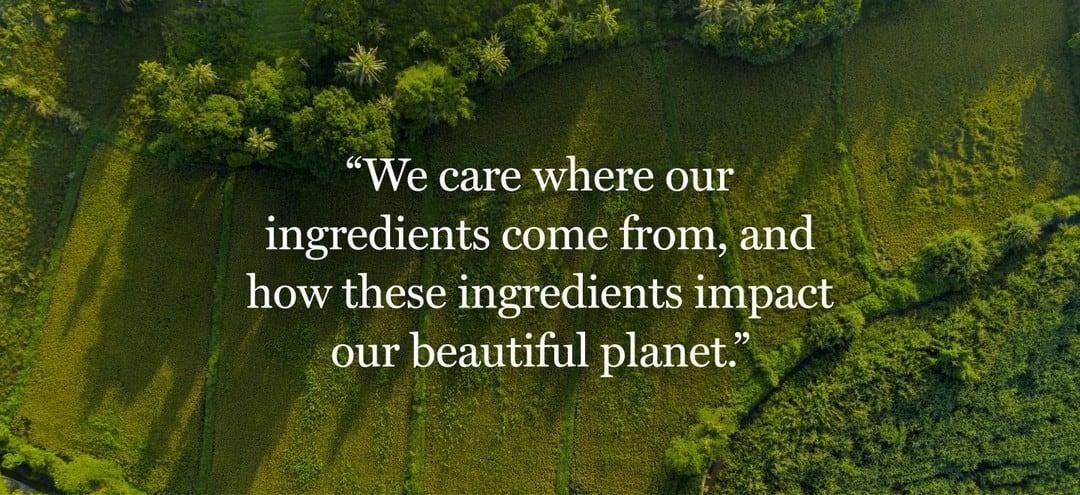 Organic and sustainable ingredients