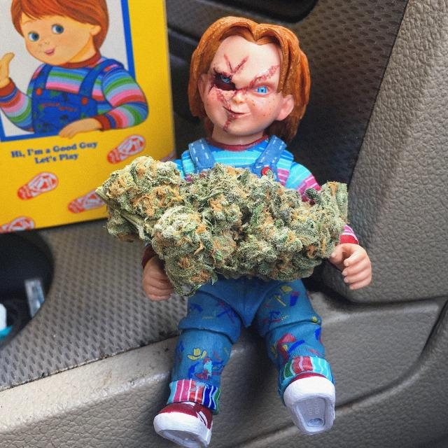 The next photo is of an action figure of the horror doll Chucky. He is holding a large weed nug between his hands and looks mischievous.