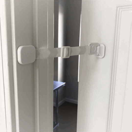 door lock for dog