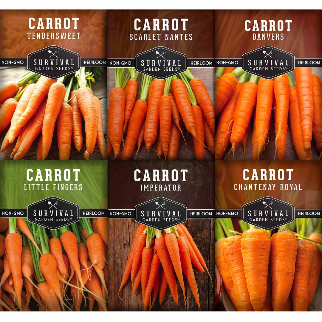 Carrot Seed Collection - 6 heirloom carrot varieties to grow