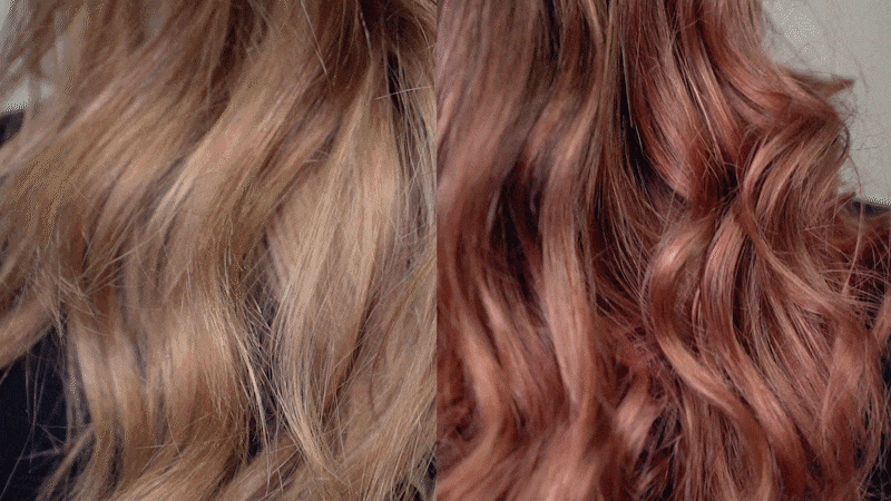 Rose Gold Deep Treatment on Dark Blonde Hair