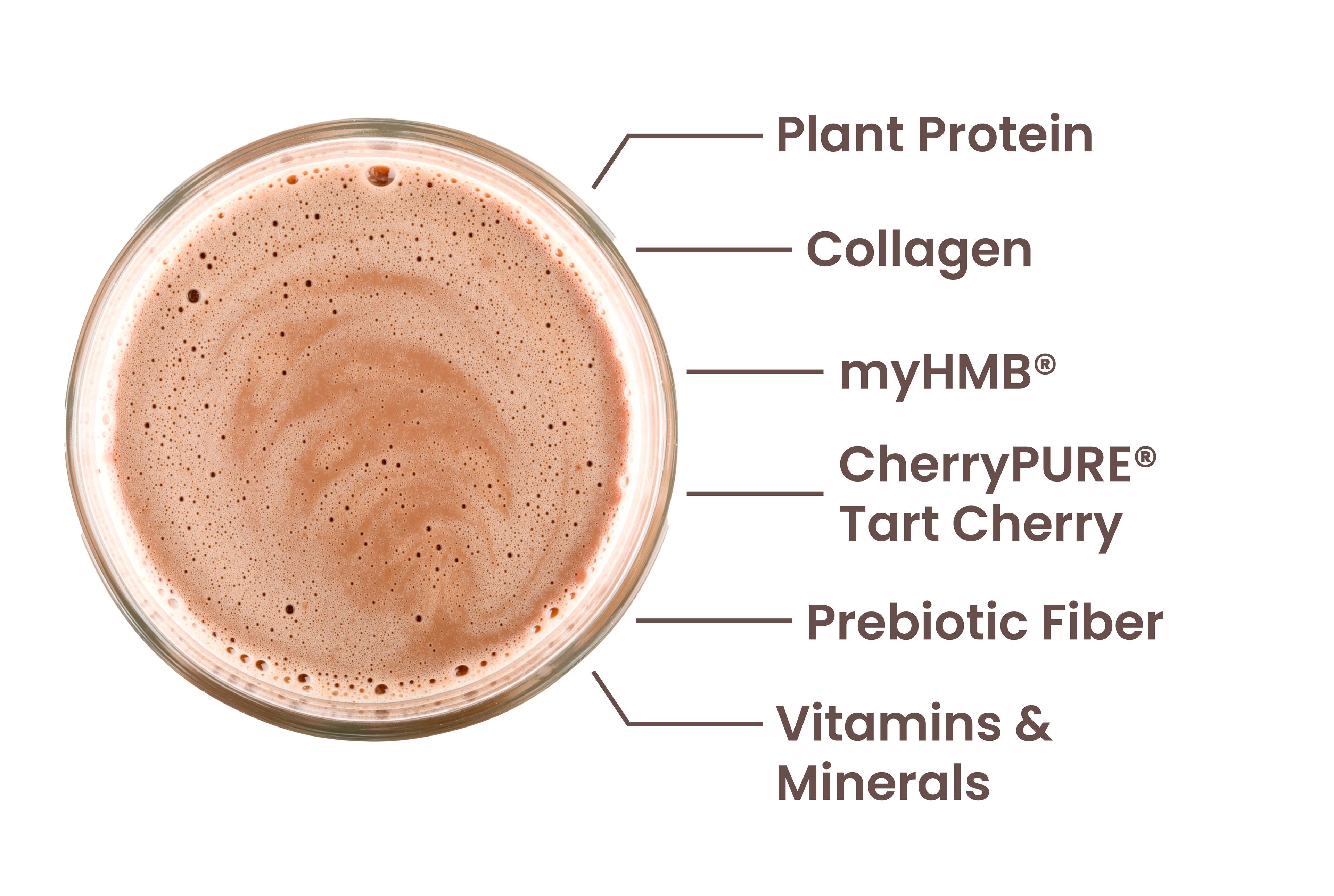 Each serving of Protein Clinic™ delivers plant protein, BODYBALANCE® bioactive collagen peptides, myHMB®, CherryPURE® tart cherry extract, prebiotic fiber, vitamins, and minerals.