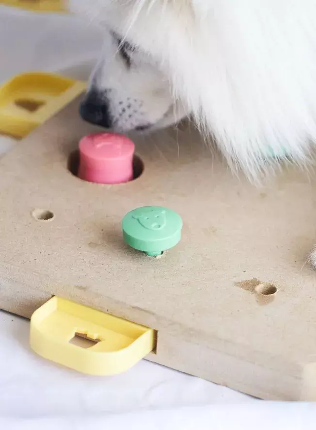 top-rated brain games dogs