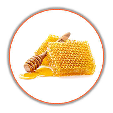 beeswax