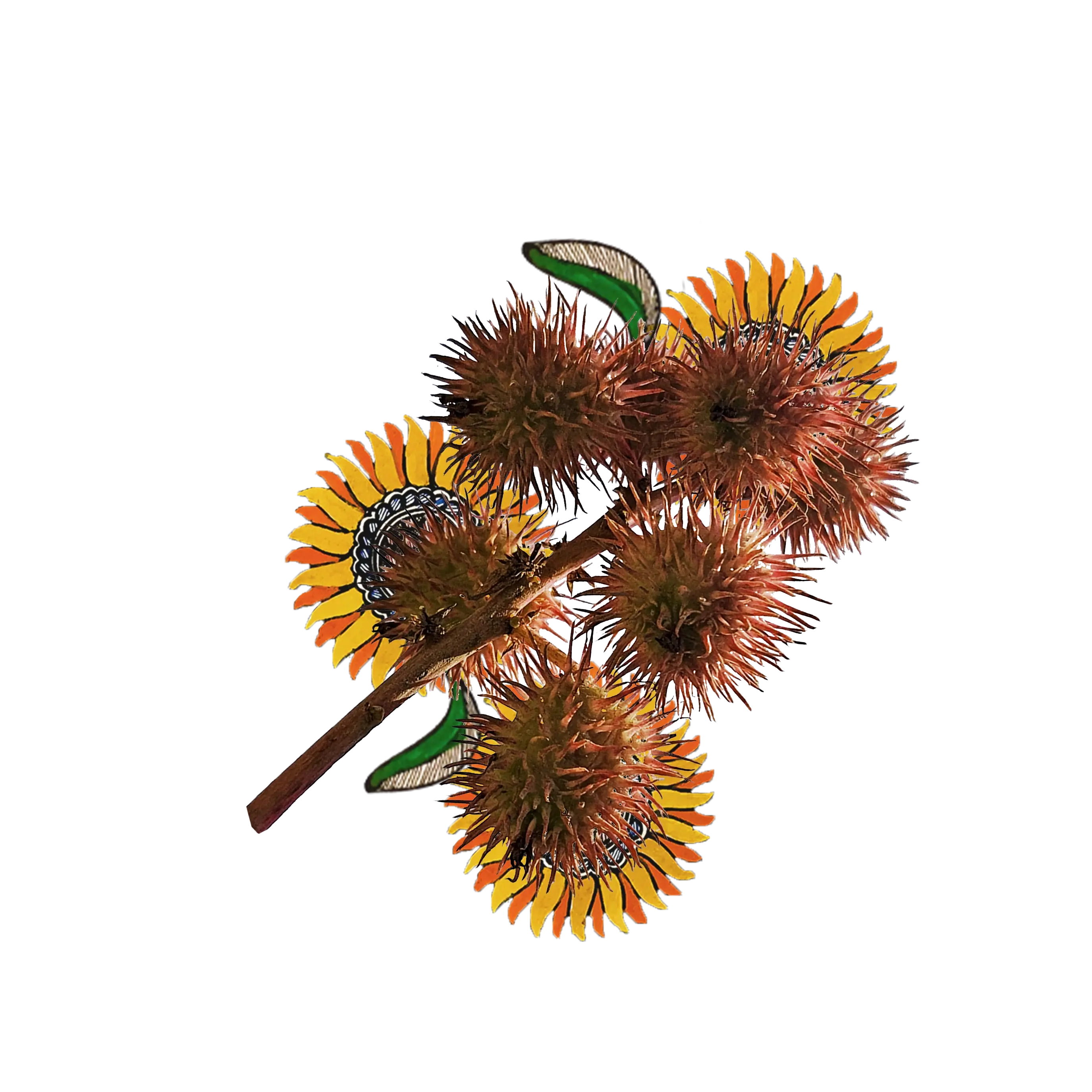 A bunch of castor surrounded by floral artworks