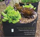 GeoFelt planter bag with strong side handles, filled with lettuce plants mulched with straw, shown outdoors.