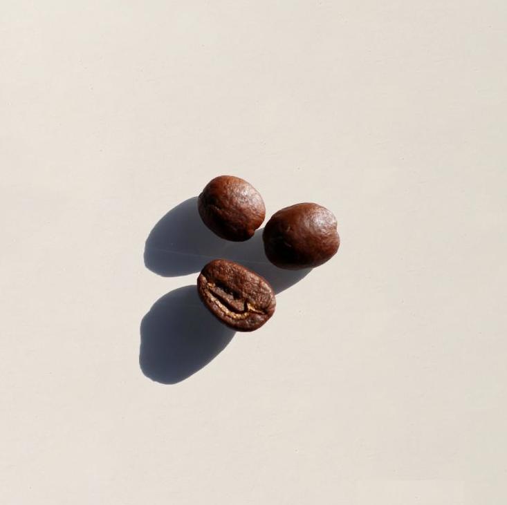 Thyro-Boost Coffee & Grinder Bundle