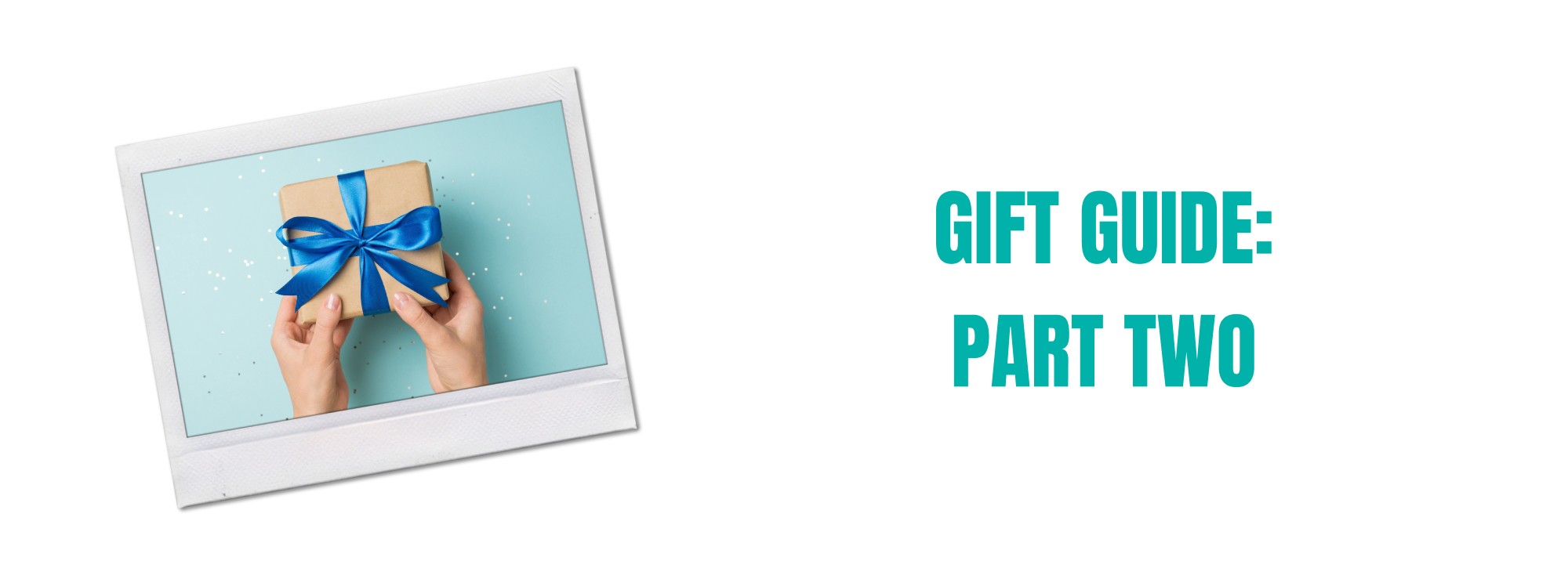 Snarky Holiday Gift Guide PartTwo
