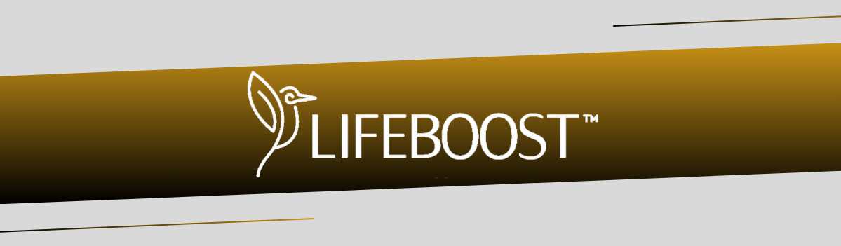 Image of Lifeboost Logo