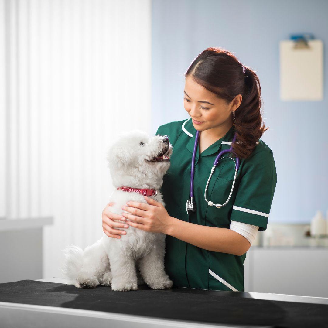 Happy vet and dog