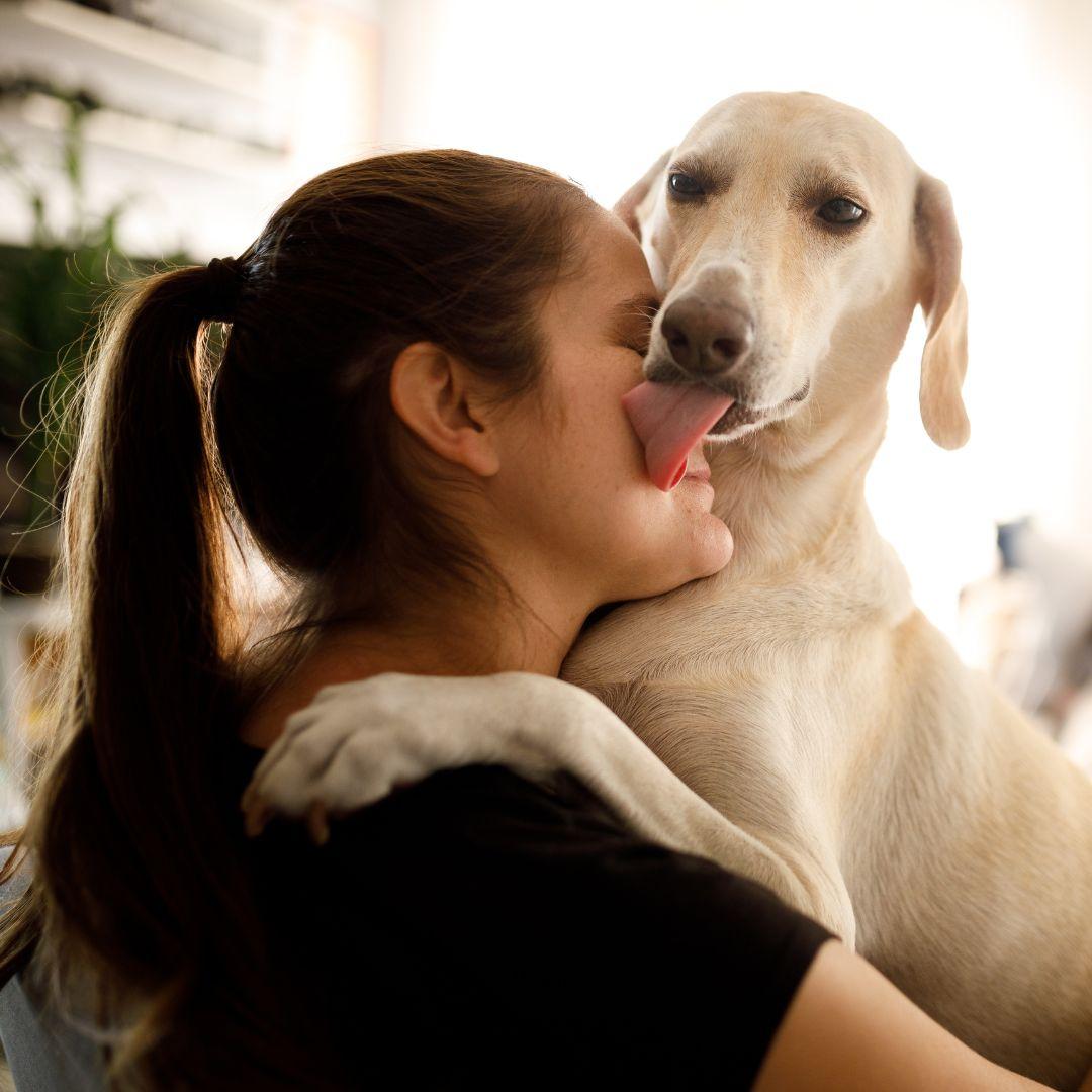 Picture Idea: How To Stop A Dog From Barking And Whining When