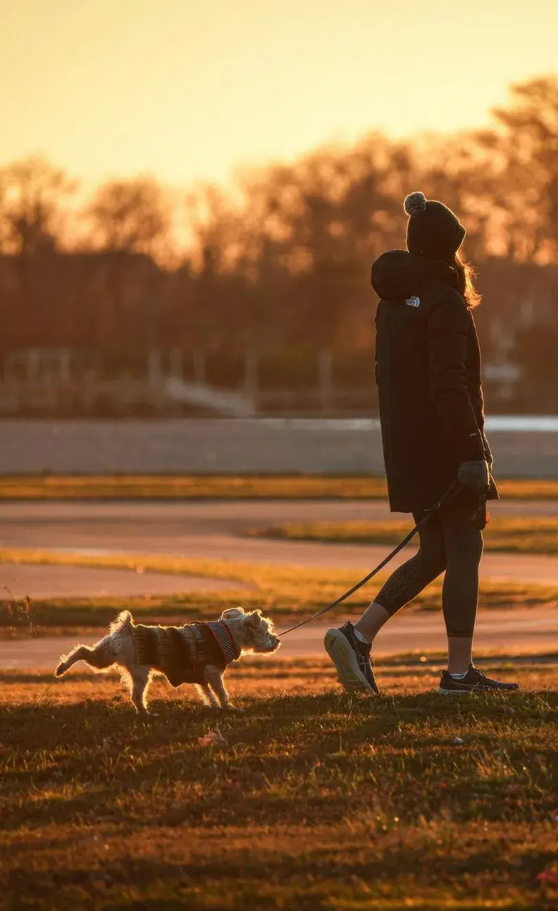 A person walks a dog on a path during sunset, with warm colors illuminating the sky in the background.