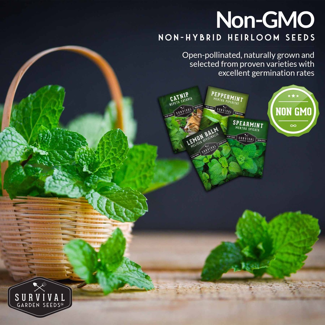 Non-GMO non-hybrid heirloom herb seeds