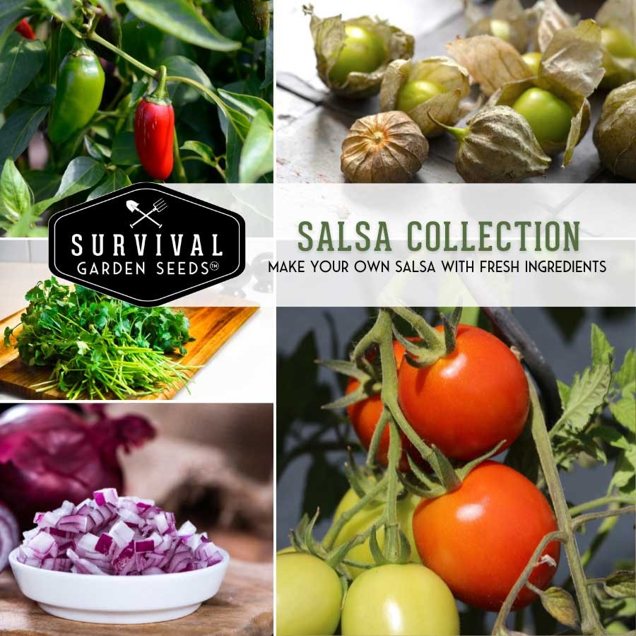 Salsa Seed Collection - 5 heirloom seed packets