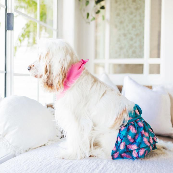 Do Dog Diapers Work? Potty Buddy™