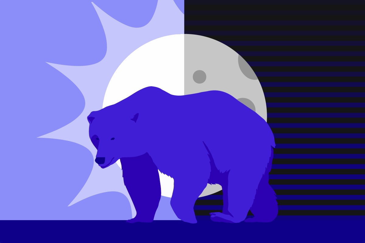 A bear against a background that is half sun and moon representing the question are bears nocturnal or diurnal.