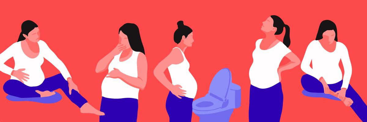 Pregnant women with various health conditions: leg cramps, heartburn, frequent urination, back pain and restless legs syndrome.