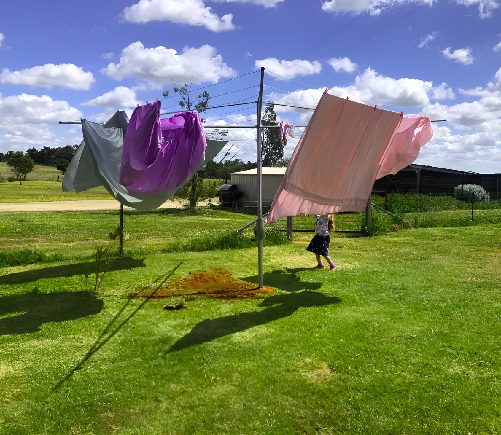 Rotary Clothesline for a Family of 5 4. Australian Lifestyle and Laundry Considerations