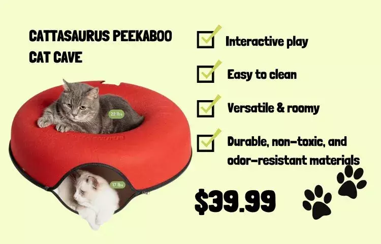 cattasaurus cat cave