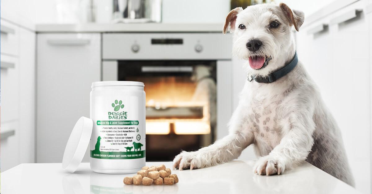 Glucosamine for Dogs