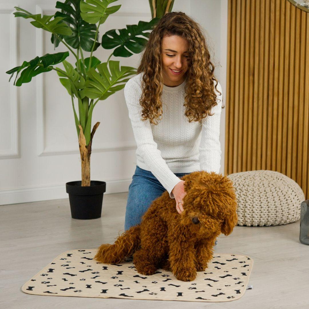 My Dog Pees Next to the Pee Pad Instead of On the Pad! What To Do