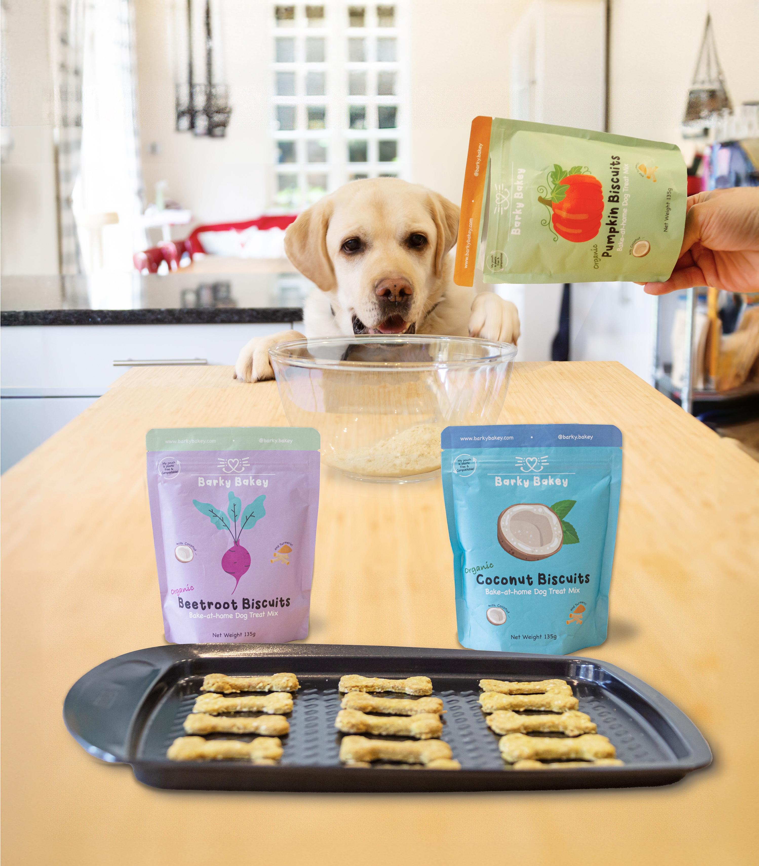 dog in kitchen waiting for bake at home treats