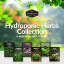Hydroponic Herb Seed Collection - 6 seed packets